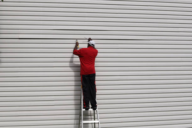Best Vinyl Siding Installation  in Timberlane, IL